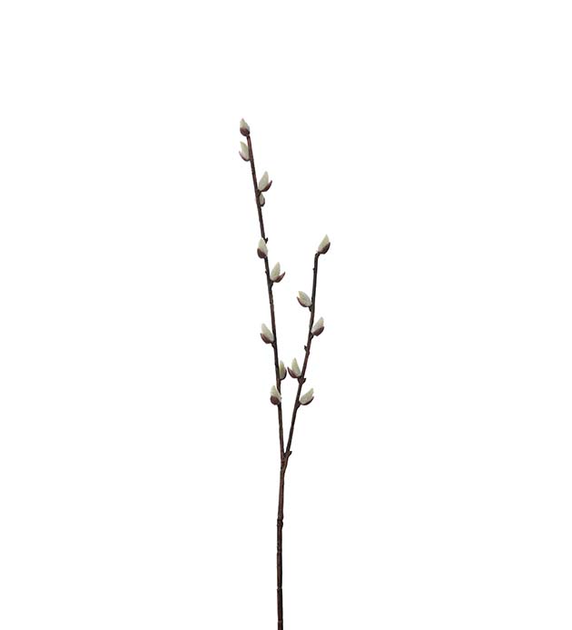 4200-70