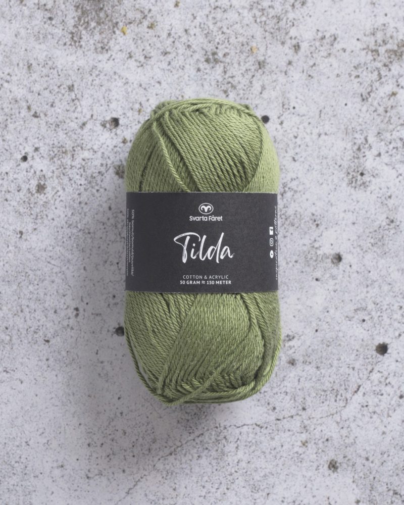 228584-cactus-green
