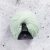 460090 – frozen green