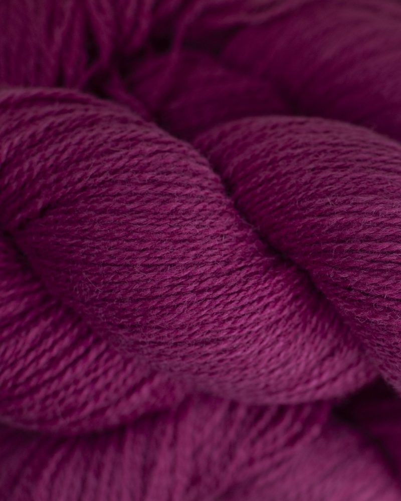 74128-raspberry-rose